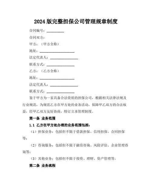 2024版完整担保公司管理规章制度