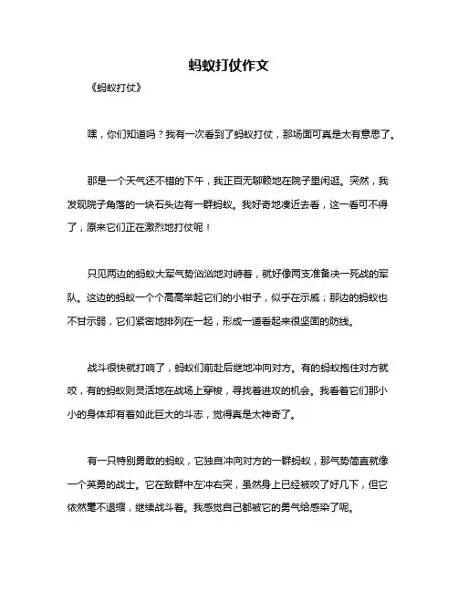 蚂蚁打仗作文