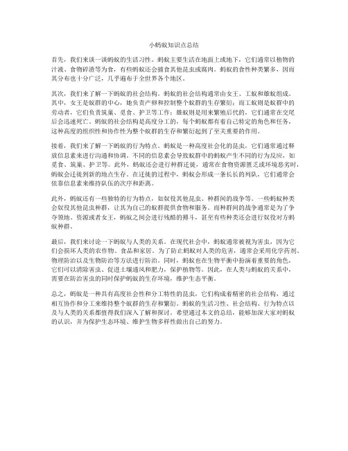 小蚂蚁知识点总结