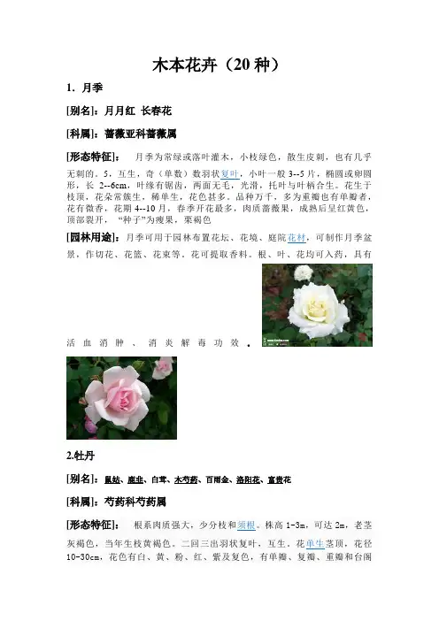 木本花卉