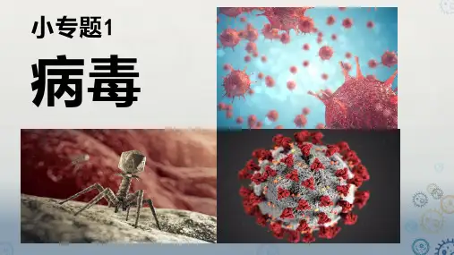 新教材新高考生物复习专题-病毒