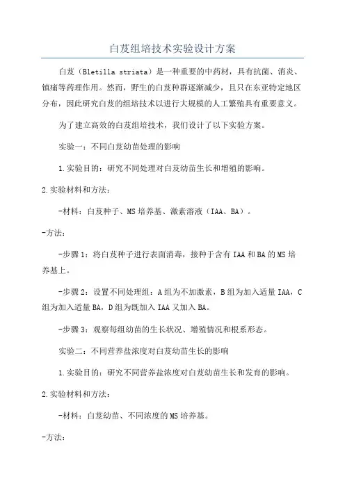 白芨组培技术实验设计方案