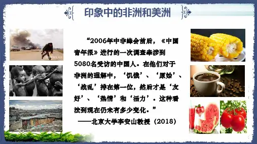 人教统编版必修中外历史纲要下第5课古代的非洲与美洲课件