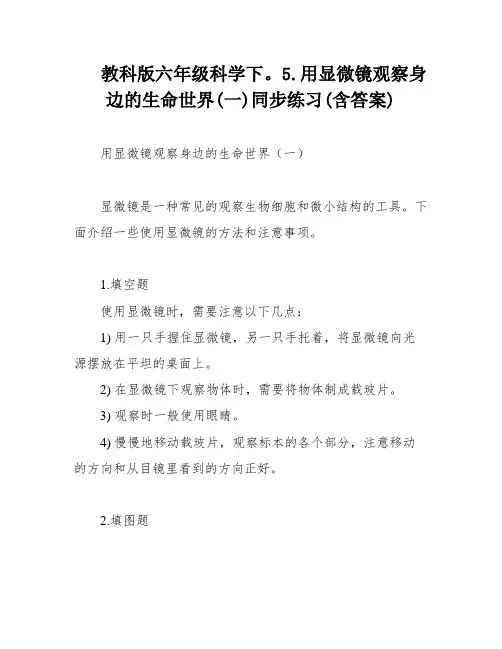 教科版六年级科学下。5