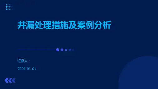 井漏处理措施及案例分析