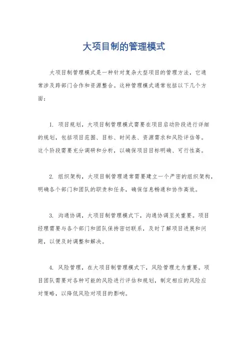 大项目制的管理模式