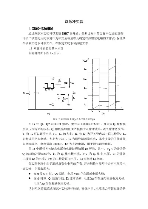双脉冲实验报告