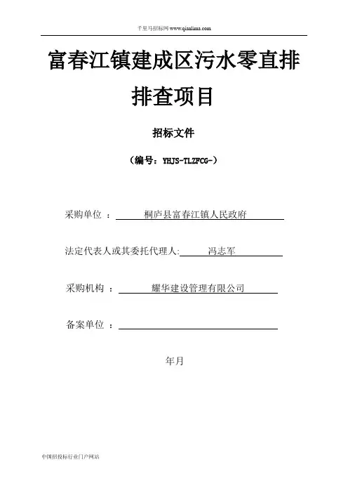 污水零直排排查项目的公开招投标书范本