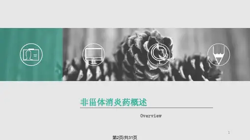 非甾体消炎镇痛药.pptx