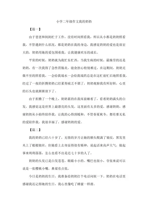 小学二年级作文我的奶奶