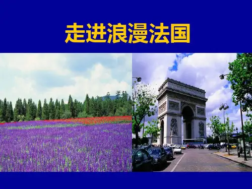 法国简介