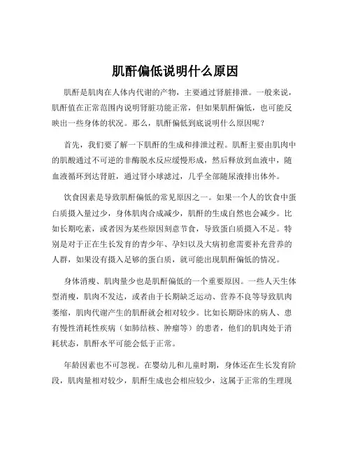 肌酐偏低说明什么原因