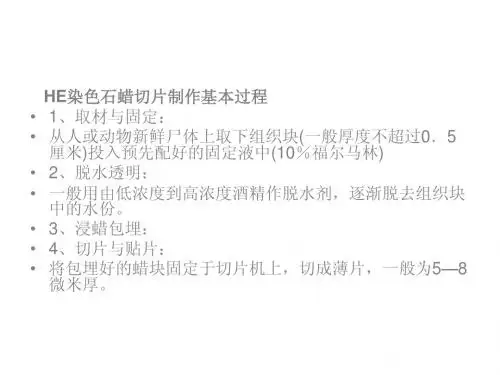HE染色石蜡切片制作