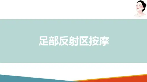 足部护理—足部反射区按摩