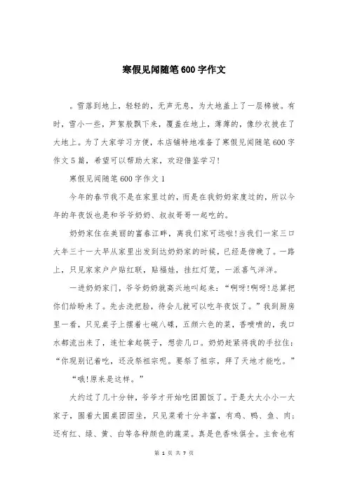 寒假见闻随笔600字作文