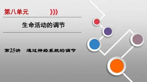 2019届一轮复习人教版  第25讲 通过神经系统的调节 课件