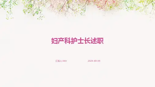 妇产科护士长述职ppt