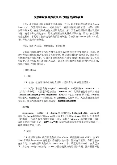 皮肤组织块培养获取原代细胞的实验观察