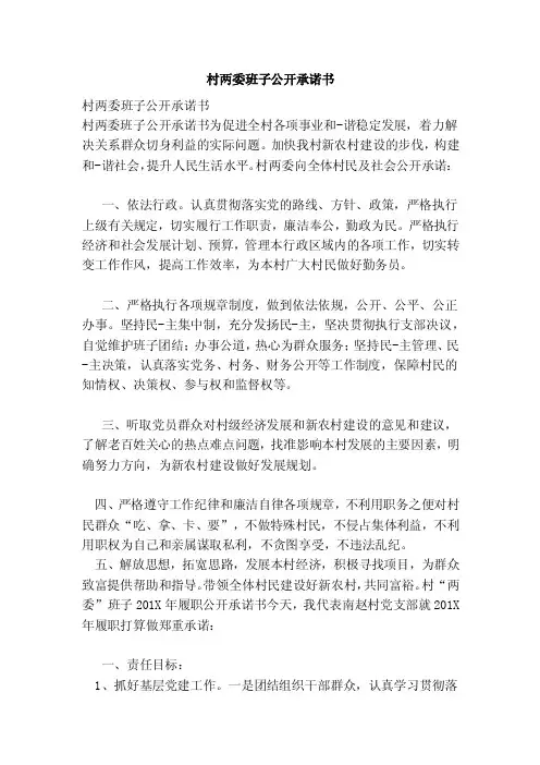 村两委班子公开承诺书（范文）