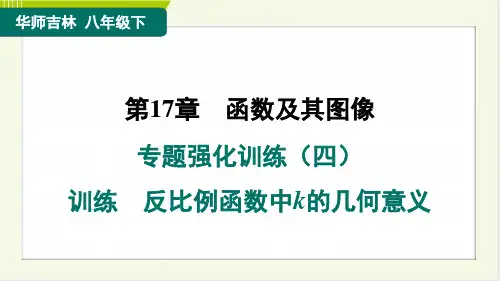 2024年华师版八年级下册数学第17章函数及其图像专题强化训练 反比例函数中k的几何意义