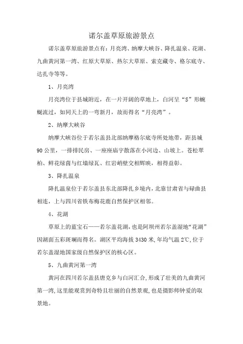 诺尔盖草原旅游景点
