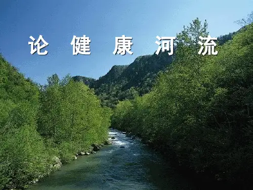 8-健康河流之概念