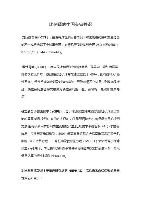 比剂肾病中国专家共识