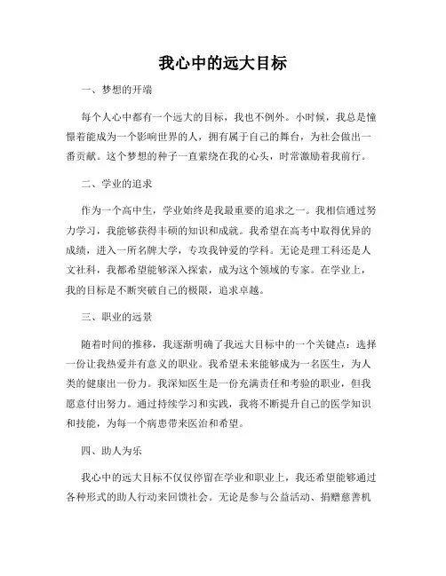 我心中的远大目标