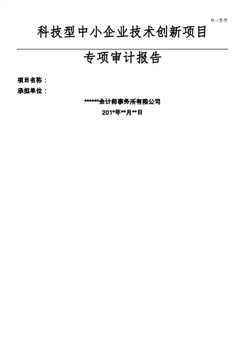 科技型中小企业技能技术总结创新项目-审计报告-模板