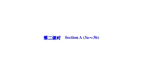 人教版九年级英语下册作业课件 Unit 13 第二课时 Section A (3a～3b)