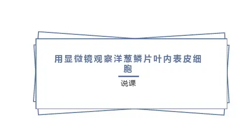 植物细胞说课稿PPT