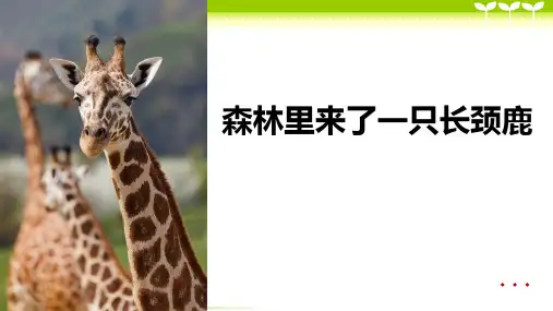 5-6岁《森林里来了一只长颈鹿》—美术课件