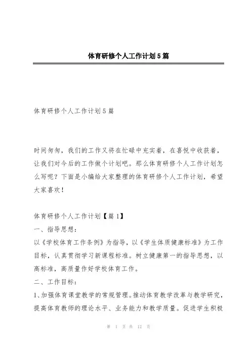 体育研修个人工作计划5篇