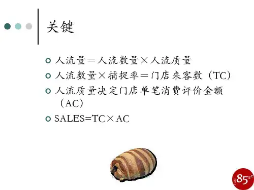 店铺选址人流量调查课件