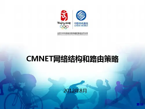 CMNET网络结构和路由策略