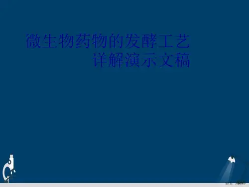 微生物药物的发酵工艺详解演示文稿