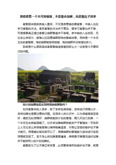 意蜂春繁一个半月架继箱，不是靠会加脾，而是靠抚子效率