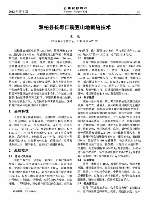 双柏县长寿仁豌豆山地栽培技术