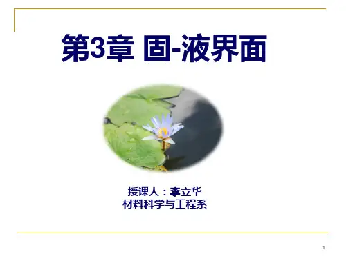 第3章 固液界面