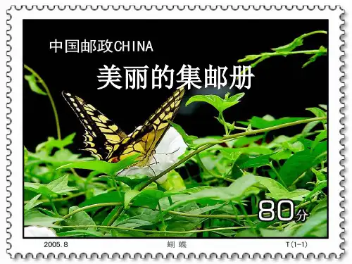 《美丽的集邮册》PPT课件