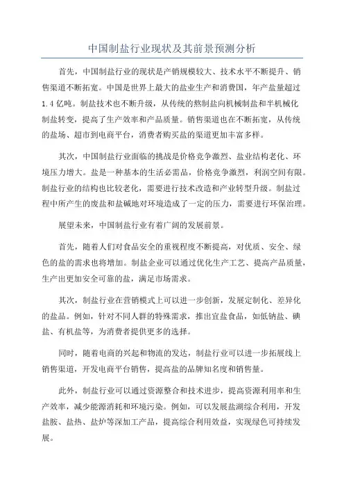中国制盐行业现状及其前景预测分析