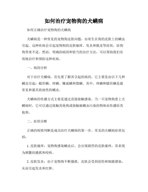 如何治疗宠物狗的犬螨病
