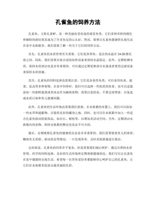 孔雀鱼的饲养方法