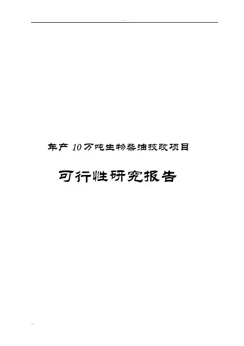 年产10万吨生物柴油技改项目可行性研究报告