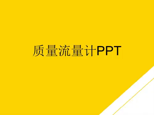 质量流量计PPT(最全版)PTT文档