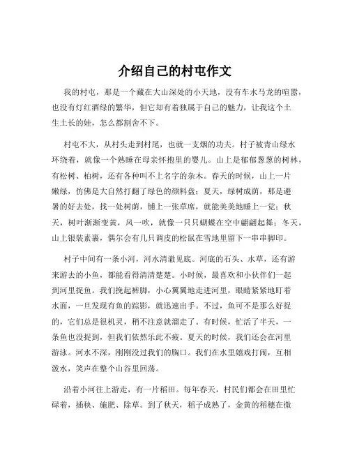 介绍自己的村屯作文