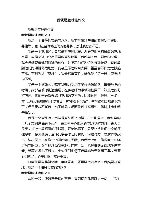 我就是篮球迷作文