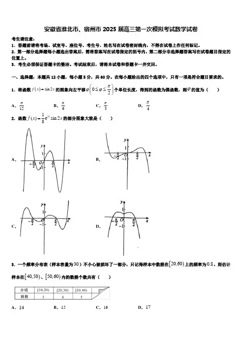 安徽省淮北市、宿州市2025届高三第一次模拟考试数学试卷含解析