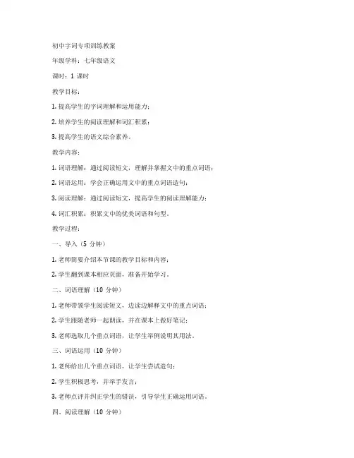 初中字词专项训练教案