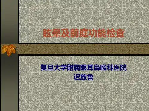 前庭功能检查PPT课件